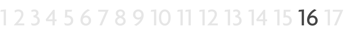 RvN 17