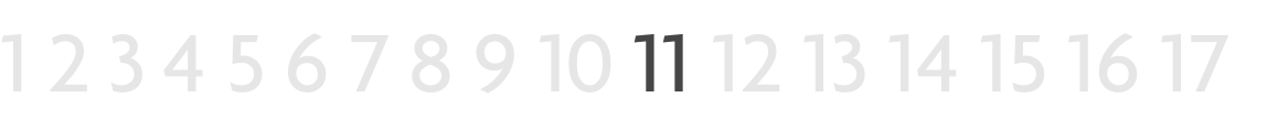 RvN 17