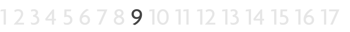 RvN 17
