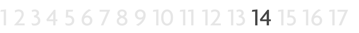 RvN 17
