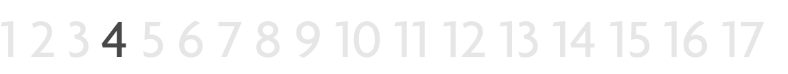 RvN 17