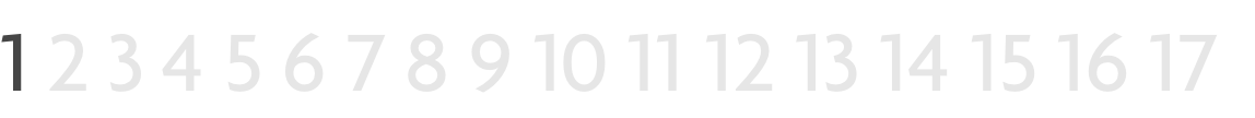 RvN 17