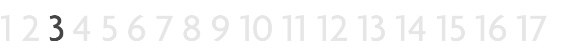 RvN 17
