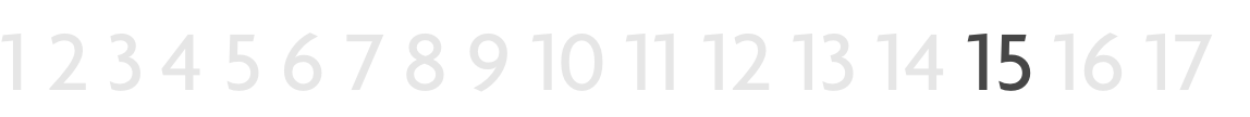RvN 17