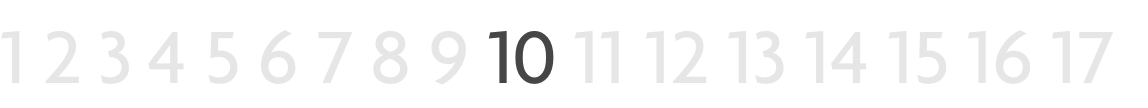 RvN 17